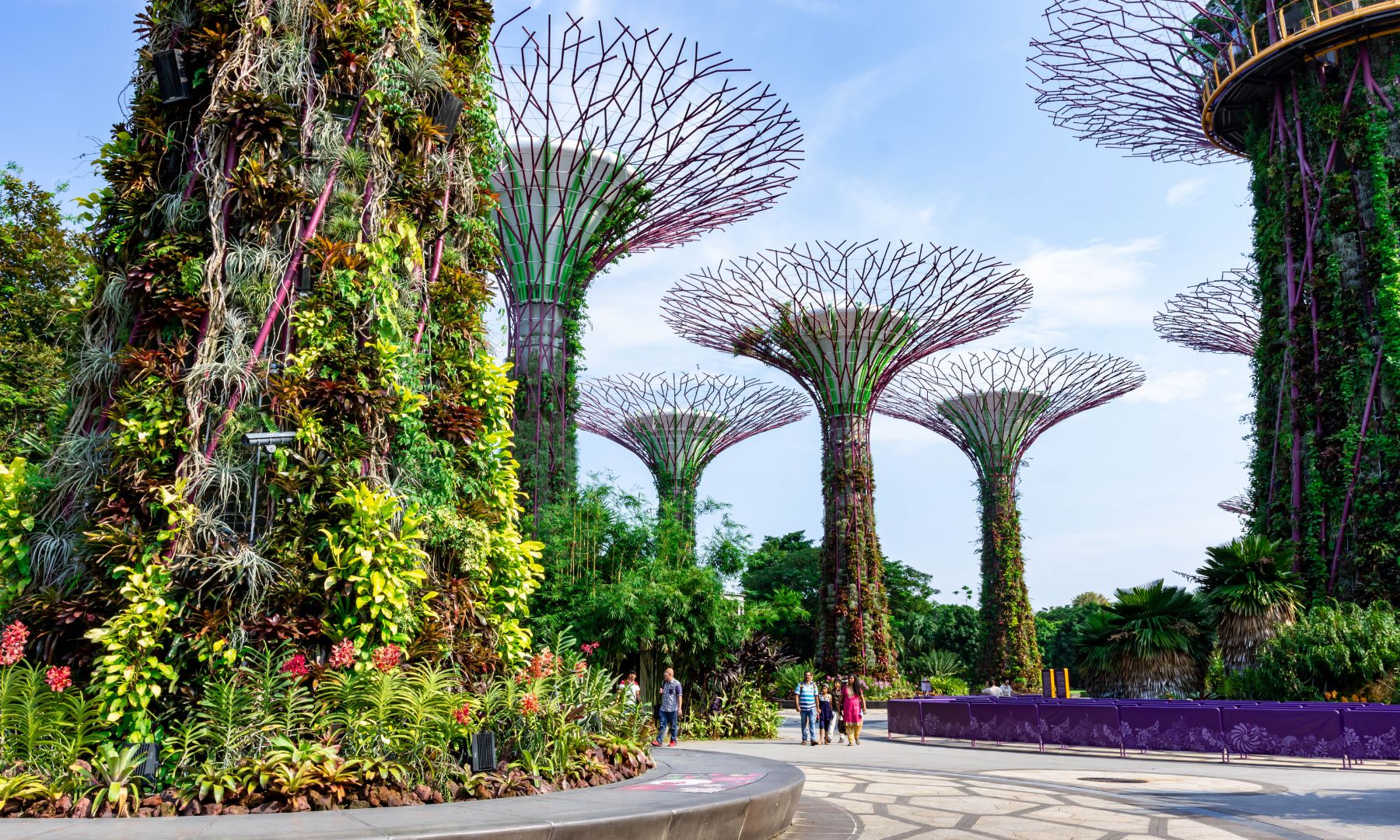 未来型植物園「ガーデンズ・バイ・ザ・ベイ」へお送り・解散